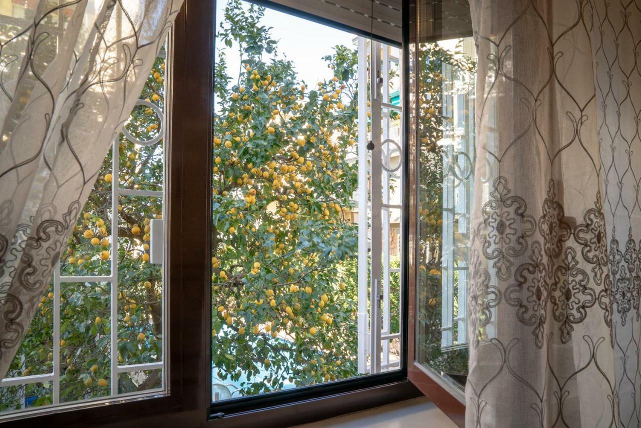 Il Quadrifoglio Sorrento Villa ภายนอก รูปภาพ